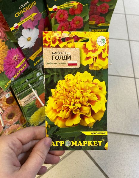 бархатцы Голди